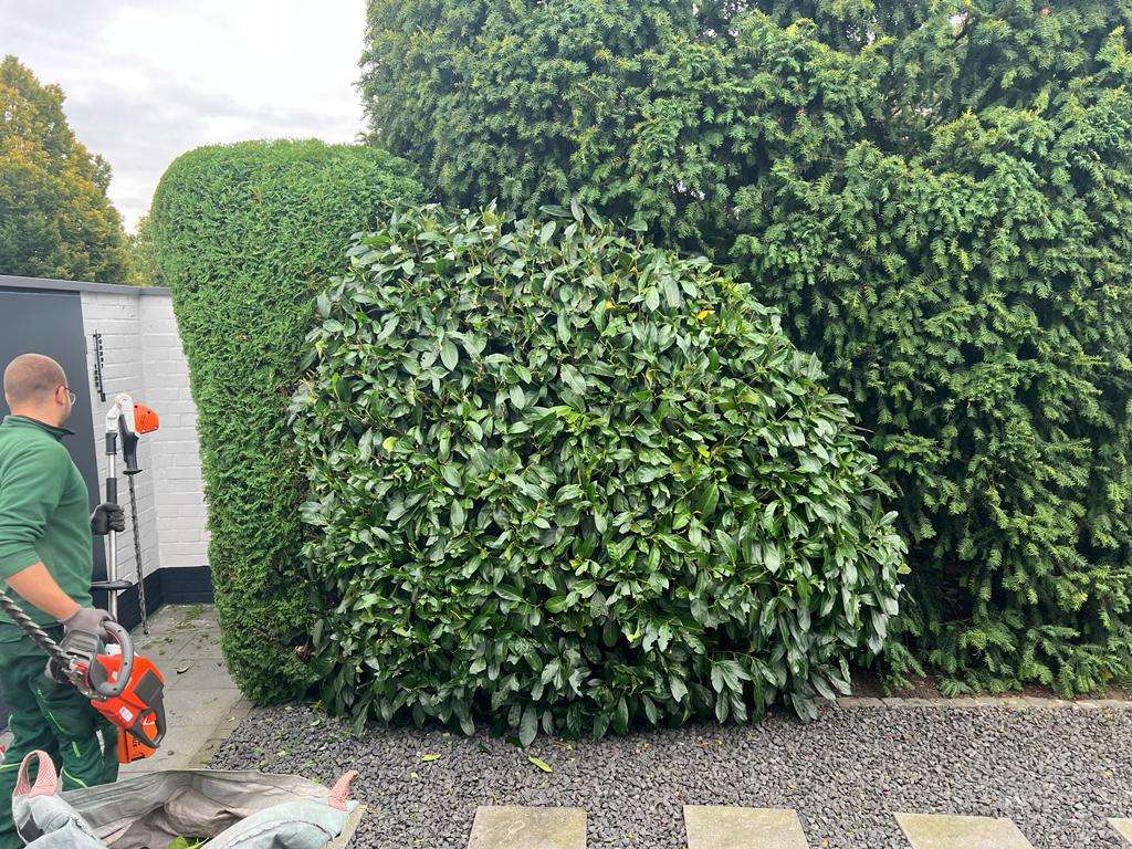 Garten-Gruenanlagen-Pflege-2022-1