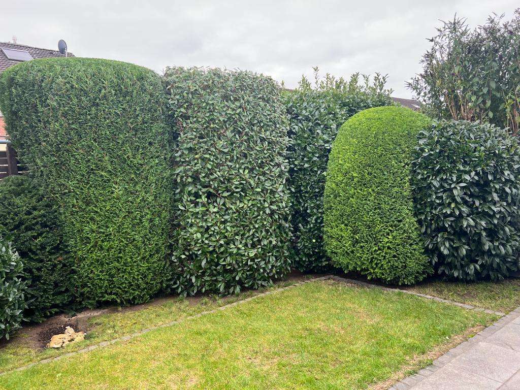 Garten-Gruenanlagen-Pflege-Josef-Stevens